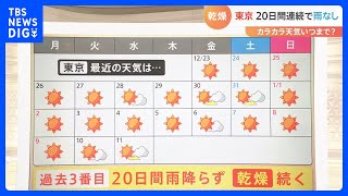 “過去３番目”の長さ　東京 20日間連続で雨なし　“カラカラ天気”いつまで続く？ 【予報士解説】｜TBS NEWS DIG