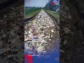 viral luapan sungai bawa lautan sampah sepanjang 1 km shorts okezone