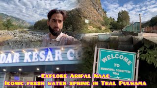 Explore Aripal Naag Tral iconic fresh water spring in Tral Pulwama