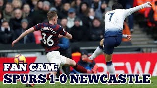 FAN CAM: Tottenham 1-0 Newcastle: Heung-Min Son 손흥민 孫興慜 Does it Again! Spurs Up to 2nd: 02/02/2019