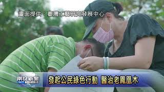 發起公民綠色行動 醫治老鳳凰木群 南投新聞