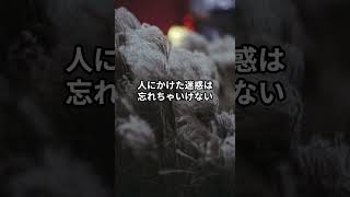 対人関係の心得5選 #名言集 #名言