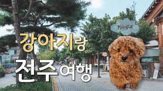 [4K] 강아지와 함께 떠난 1박 2일 전주 여행 / 한옥숙소, 전주맛집, 애견동반 카페🐕🐶