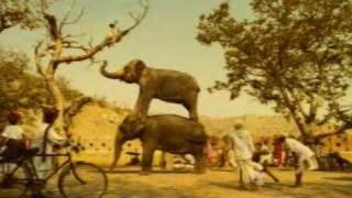 A Circus with Pepsi and Elephant. Very interesting