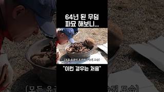 [800만뷰🎊]파묘를 한 충격적 이유 #shortvideo #shorts #파묘