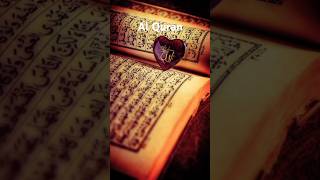 Al Quran #alquran #alquranulkarim #quranurdu #translationquranandislam #bayan #namaz #viralvideo