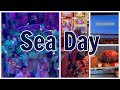 Celebrity Constellation Feb 2024 Vlog: Sea Day