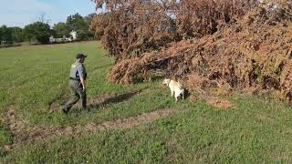 K-9 Evidence Search