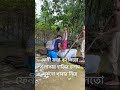 ফেনী বন্যা কবলিতো এলাক মানুষের খাবার নাই