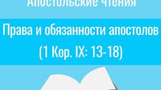 Апостольские чтения. Права и обязанности апостолов. Комментирует священник Дмитрий Барицкий