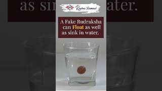 Testing Myths of Rudraksha #rudraksha #mythology #lordshiva