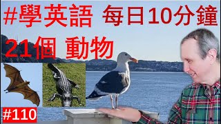 【#每日學英文】21種動物名稱 || 英文怎麽說？第一集 【#每日学英文】21种动物名称 || 英文怎么说？