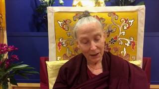 Siddhartha Part 1   Domo Geshe Rinpoche