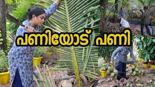 കല്യാണം അരികെ എന്നെ തേടി ആ ജോലി എത്തി |moru kachiyath | Harvest |Day in mylife