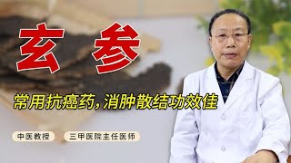 分享中药玄参，常用抗癌方剂里都有它，清热凉血、消肿散结功效佳