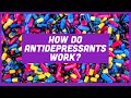 How Do Antidepressants Work? | Sci Guys Clip