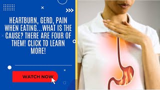 Heartburn GERD Pain When Eating What is the cause There are four of them Click to Learn more