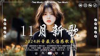 40首超好聽的流行歌曲💝2024年 12月份爆火全網的歌曲【動態歌詞】Lyrics【高音質】淪陷, 嘉賓, 追光者, 病變, 平凡之路, Letting go, 錯位時空, 你一定要幸福, 冬眠