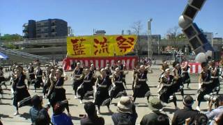 名古屋学生チーム『鯱』有松村藍流まつり「舞りゃ～せ」2017