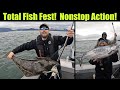 Total Fish Fest! Nonstop Action! Alaskan Halibut & King Salmon Fishing! Juneau, Alaska! JULY 2022