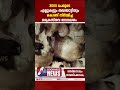 എല്ലുകളും തലയോട്ടിയും കൊണ്ട് നിർമ്മിച്ച ക്രൈസ്തവ ദേവാലയം skull chapel catholic church goodness tv