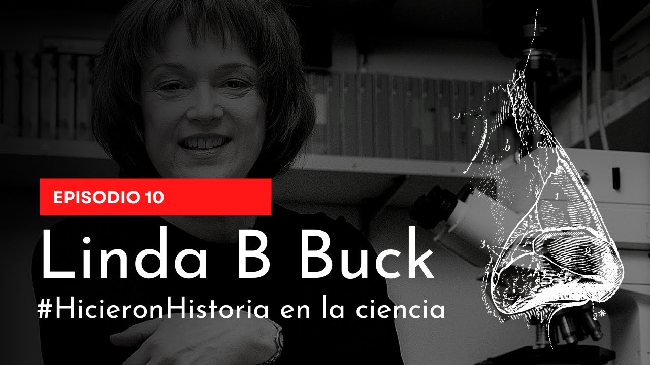 ¿Cómo Funciona El Sentido Del Olfato? Linda B. Buck #HicieronHistoria ...