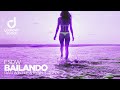 FSDW - Bailando (Dan Winter & Ryan T Remix)