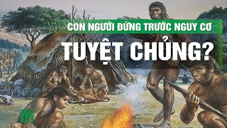 Chuyên gia dự đoán nhân loại có thể biến mất vào năm 2779 | VTC14