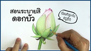 สอนระบายสีดอกบัว | เรียนศิลปะกับครูติ๊ก