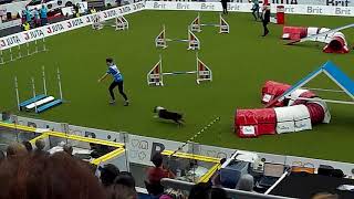 AWC 2017 Sanni Kariniemi Stig agility