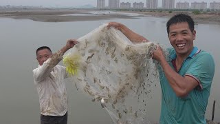 小池在大坝下几张白网，每张都挂满白虾爆网，这样抓得太过瘾了