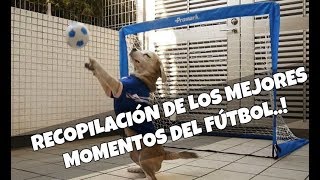 RECOPILACIÓN DE LOS MEJORES MOMENTOS DEL FÚTBOL  2017