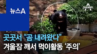 곳곳서 “곰 내려왔다”…겨울잠 깨서 먹이활동 ‘주의’ | 뉴스A