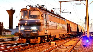 Freight Train with  loco „Laminátka“ 230 085 3 enters in Curtici-Romania from Hungary-25.08.2020