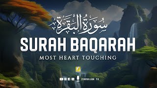 Surah Al Baqarah Full (سورة البقره) | Relaxing heart touching voice | Zikrullah TV
