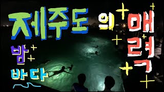 제주도의 매력에 반하다 (+백패커들의 쉼터 홀라인)