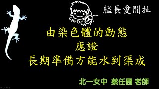 【艦長愛閒扯】17由染色體的動態印證長期準備方能水到渠成