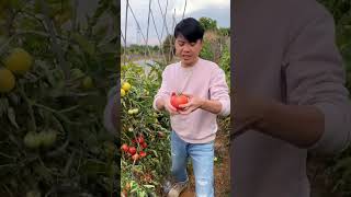 快手乡村幸福带头人 #shortvideo