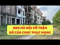 Hàng loạt biệt thự 