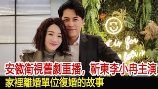 安徽衛視舊劇重播，靳東李小冉主演，家裡離婚單位復婚的故事︱李佳︱靳東︱劉濤︱胡歌︱馬伊琍︱江珊︱王志文︱宋佳︱李小冉︱黃曦寧#新視野傳媒