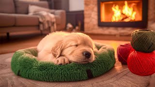 Soothing Music for Dogs 🐾 Stress-Free Melodies 🎶 Comfort and Restful Nights for Your Pet 💤