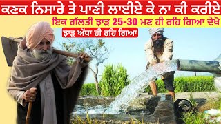 irrigation in wheat crop | ਕਣਕ ਨਿਸਾਰੇ ਤੇ ਪਾਣੀ ਲਈਏ ਕੇ ਨਾ ਕੀ ਕਰੀਏ ਦੇਖੋ