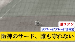 【サード守れないw】阪神、小野寺もやらかす…www【阪神】【岡田監督】【小野寺暖】【5ch2ch】【なんJなんG】