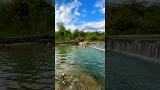 Swimming in the river #swimming #river