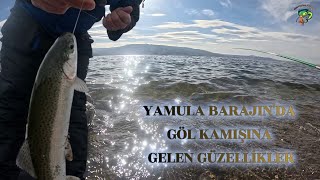 YAMULA KUŞÇU MEVKİ ALABALIK AVI.#camping #fishing #fish #art #youtubeshorts #youtube #animals #food