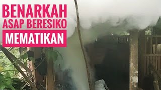 Pengasapan kandang sore hari