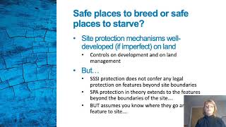 Protected Areas Kate Jennings Roseate LIFE webinar