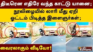 எதிரே வந்த காட்டு யானை; நூலிழையில் லாரி மீது ஏறி ஓட்டம் பிடித்த இளைஞர்கள்; வைரலாகும் வீடியோ  | PTT