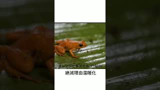 人間によって絶滅した動物