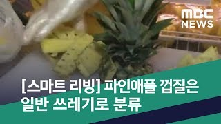 [스마트 리빙] 파인애플 껍질은 일반 쓰레기로 분류 (2019.08.03/뉴스투데이/MBC)